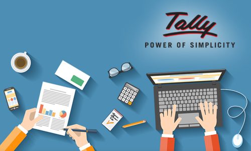 Tally Accounting Software